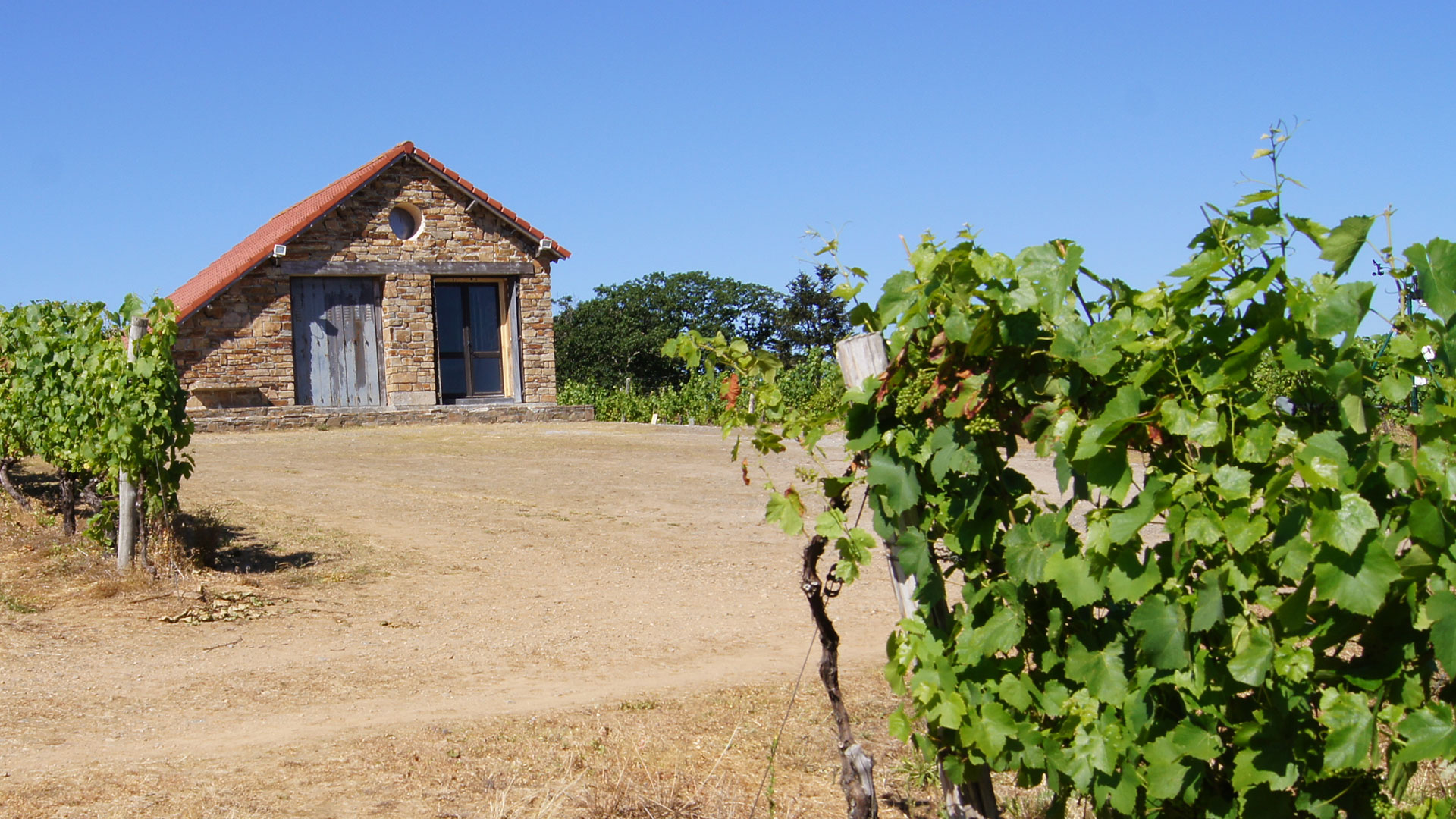 domaine-des-gabies-slide-accueil-cabane-soleil