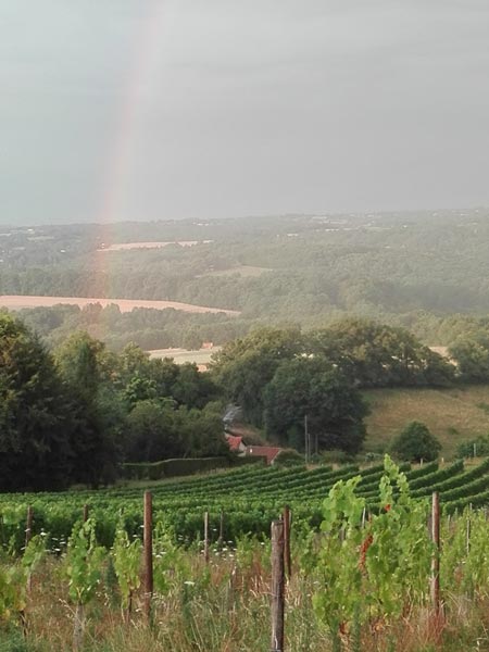 Domaine des Gabies : vue du vignoble avec un arc-en-ciel